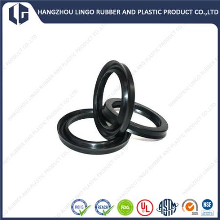 Custom Design SGS Certified Oil Lip Seal Ring
